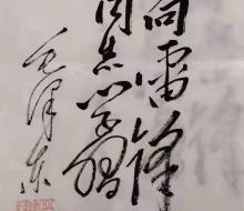 趙家新書(shū)法